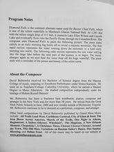 Load image into Gallery viewer, Diamond Falls David Bobrowitz