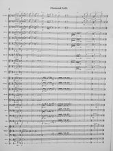 Load image into Gallery viewer, Diamond Falls David Bobrowitz