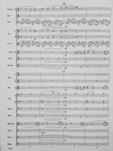 Load image into Gallery viewer, Triumph of the Argonauts Robert Sheldon