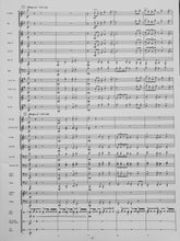 Load image into Gallery viewer, Innova Ed Huckeby