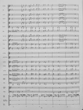 Load image into Gallery viewer, Innova Ed Huckeby