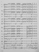 Load image into Gallery viewer, Venture Sean O'Loughlin