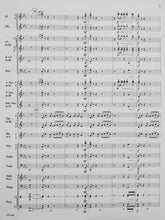 Load image into Gallery viewer, Venture Sean O'Loughlin