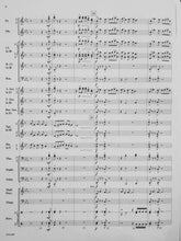 Load image into Gallery viewer, Venture Sean O'Loughlin