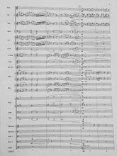 Load image into Gallery viewer, The Winged Stallion Rossano Galante