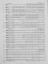 Load image into Gallery viewer, The Winged Stallion Rossano Galante