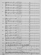 Load image into Gallery viewer, Vertigo Chris M. Bernotas