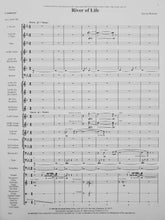 Load image into Gallery viewer, River of Life Steven Reineke