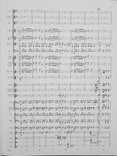 Load image into Gallery viewer, River of Life Steven Reineke