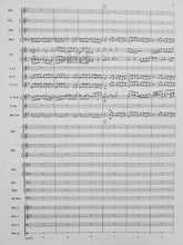 Load image into Gallery viewer, Bayou Breakdown Brant Karrick