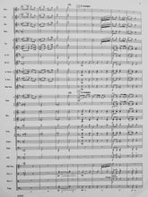 Load image into Gallery viewer, River Songs of the South William G. Harbinson