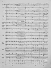 Load image into Gallery viewer, The Circus Bee Henry Fillmore arr. Robert E. Foster