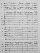 Load image into Gallery viewer, To Conquer the Skies Robert Sheldon