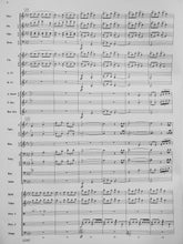 Load image into Gallery viewer, To Conquer the Skies Robert Sheldon