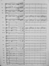 Load image into Gallery viewer, To Conquer the Skies Robert Sheldon