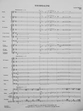 Load image into Gallery viewer, Tourmaline Lennie Niehaus