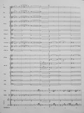 Load image into Gallery viewer, Tourmaline Lennie Niehaus