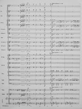 Load image into Gallery viewer, Tourmaline Lennie Niehaus