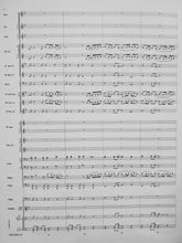 Load image into Gallery viewer, Tourmaline Lennie Niehaus