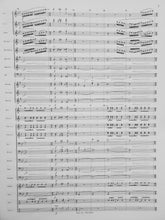 Load image into Gallery viewer, Of Pride Unfurled Stephen Bulla