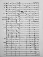 Load image into Gallery viewer, The Sleeping Beauty: Excerpts from the Ballet Peter. I Tschaikowsky arr. David Bennett