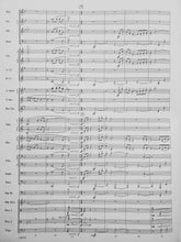 Load image into Gallery viewer, Over Slope and Summit Douglas Akey