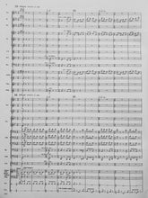 Load image into Gallery viewer, In All Its Glory James Swearingen