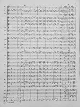 Load image into Gallery viewer, In All Its Glory James Swearingen