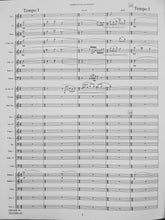 Load image into Gallery viewer, Summer to Fall: A Love Song David Holsinger