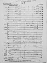 Load image into Gallery viewer, Hey! Timothy Mahr