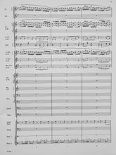 Load image into Gallery viewer, The Rusty Bucket (And Other Juke Joints) Carol Britten Chambers