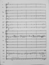 Load image into Gallery viewer, The Rusty Bucket (And Other Juke Joints) Carol Britten Chambers