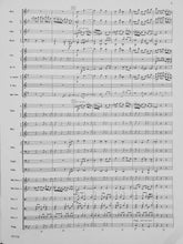 Load image into Gallery viewer, See Rock City Brant Karrick