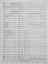 Load image into Gallery viewer, Free Running Robert Buckley