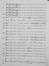 Load image into Gallery viewer, Unbound Sean O'Loughlin