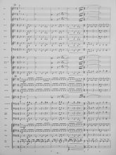 Load image into Gallery viewer, Pursuit Matt Conaway