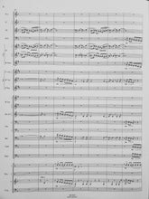 Load image into Gallery viewer, Tirana Carol Barnett