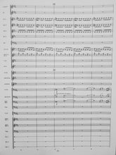 Load image into Gallery viewer, Perilous Voyage Cory J. McBride