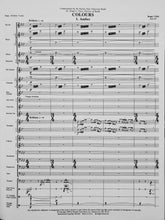 Load image into Gallery viewer, Colours Roger Cichy