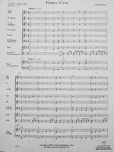 Load image into Gallery viewer, Pirates' Cave Mark Williams