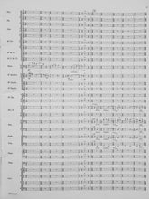 Load image into Gallery viewer, A Movement for Rosa Mark Camphouse