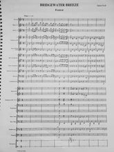 Load image into Gallery viewer, Bridgewater Breeze Adam Gorb