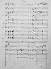 Load image into Gallery viewer, Voyage Jubiloso Ralph Ford