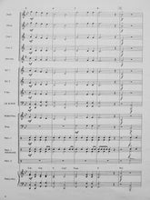 Load image into Gallery viewer, The Argonauts Mike Hannickel