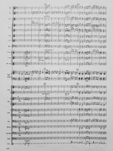 Load image into Gallery viewer, Hungarian Folk Suite Bela Bartok arr. Philip Gordon