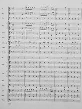 Load image into Gallery viewer, Plaza Park Escapades Mark Williams