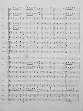 Load image into Gallery viewer, Plaza Park Escapades Mark Williams