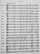 Load image into Gallery viewer, Circus Suite Stuart Johnson