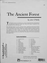 Load image into Gallery viewer, The Ancient Forest John O'Reilly