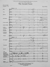 Load image into Gallery viewer, The Ancient Forest John O'Reilly